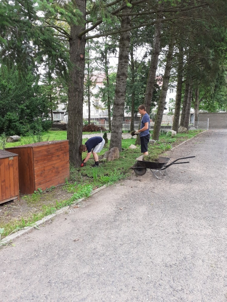 Zatravňování arboreta